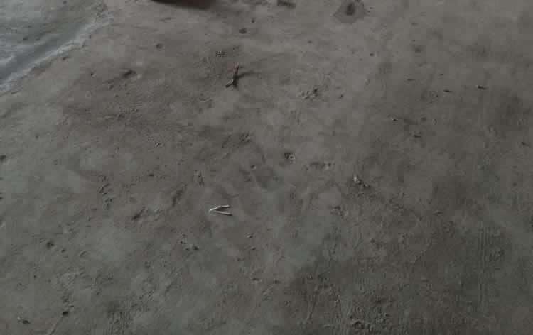 舊地面起砂處理 舊地面起砂處理